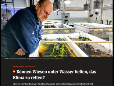 Spiegel Wissenschaft: