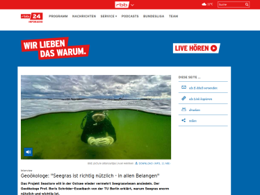 rbb24-Interview: "Seegras ist richtig nützlich - in allen Belangen"