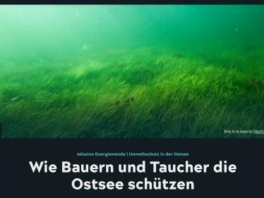 Umweltschutz in der Ostsee: Wie Bauern und Taucher die Ostsee schützen