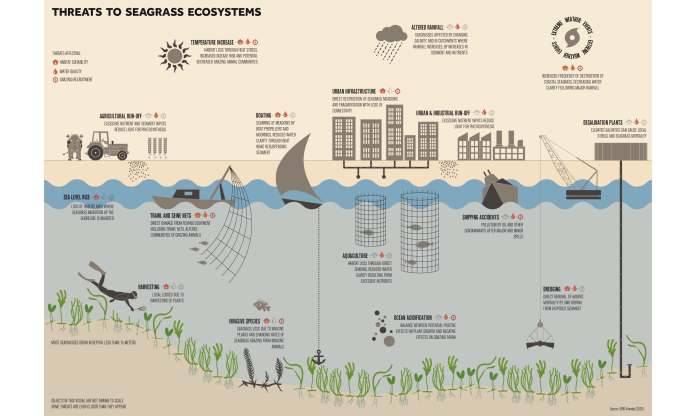 Zu sehen sind die Gefahren Temperaturanstieg, Veränderung der Niederschläge, Extremwetter Ereignisse, Landwirtschaftlicher Abfluss, Bootsfahrt städtische Infrastruktur, Industrieabfluss, Entsalzungsanlagen, der Anstieg des Meeresspiegels, Fischernetze, Aquakultur, Schiffsunfälle, das Abernten von Meerespflanzen, invasive Spezies, Versäuerung der Meere und Ausbaggern. Zusätzlich ist abgebildet, ob die Gefahren die Nachhaltigkeit des Habitats (Haus), die Wasserqualität (Wassertropfen) oder die Fortpflanzung (Kreislauf) betreffen. Cartographer: Hisham Ashkar / GRID-Arendal (2020), Source: https://www.grida.no/resources/13583
